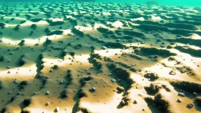 海洋、水面、海灘AI影片素材 AI video preview