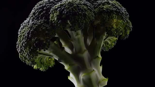 黑色背景上独立呈现的新鲜西兰花 AI video preview