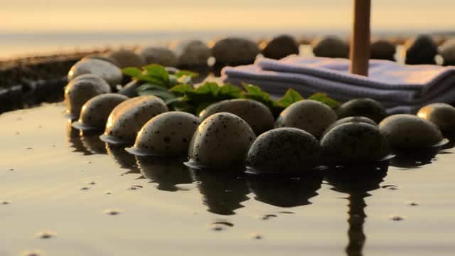 Peaceful coastal landscape with eggs and foliage at sunrise AI video preview