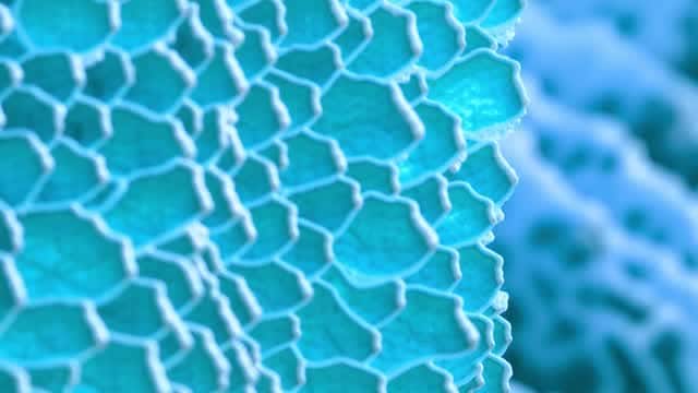 Abstract macro view of porous scientific material mesh AI video preview