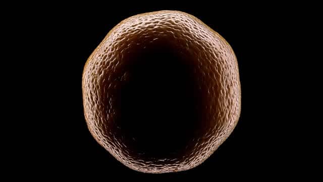 为新鲜餐食切片鲜艳橙子的过程 AI video preview