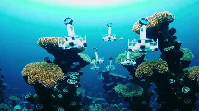 鮮やかなサンゴ礁生態系を探索する自律型水中ビークル AI video preview