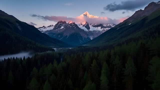 Majestic mountain vista through dense pine forests and fog AI video preview