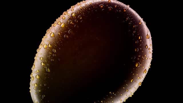 带有露珠的新鲜有机食材微距画面 AI video preview