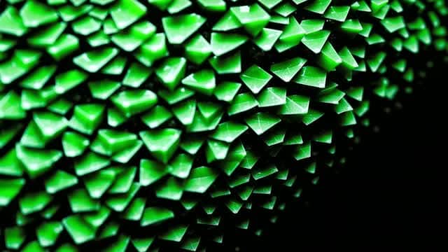 Macro shot of vibrant green geometric spiky natural texture AI video preview