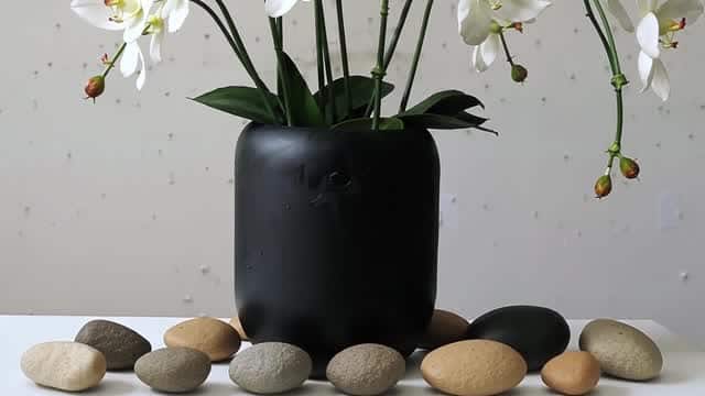 Elegant white orchid arrangement houseplant interior decoration AI video preview