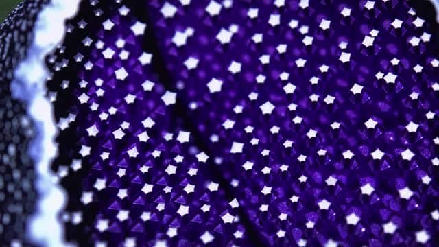 Macro view of vibrant purple butterfly wing pattern AI video preview